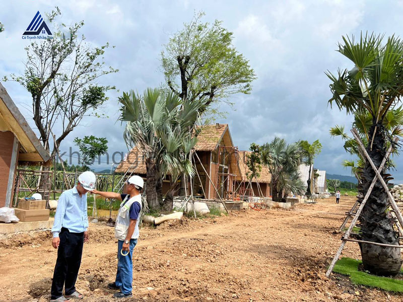 Thi công Rơm nhân tạo tại Phan Thiết